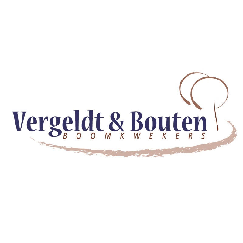 http://svlottum.nl/wp-content/uploads/2021/08/Vergeldt-Bouten.jpg